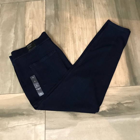 Lane Bryant Indigo Venezia Jeggings 